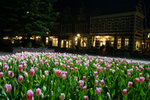 �]�������{����