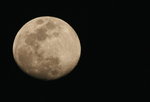 IMG_2960-zoom