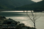 DSC_1793lo