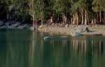 DSC_8541lo