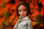 DSC_5347lo