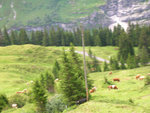 Way to Jungfraujoch