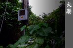 Garden_0006