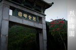 Garden_0013