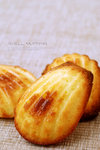 SHELL MUFFINS 