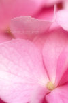 DSC_6327_680