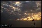 DSC_1815_1024