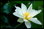 HKPARK82321024