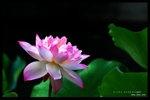 HKPARK8244n1024