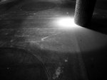 IMG_0113_800