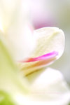 DSC_0837bY680