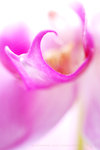 DSC_1704y680