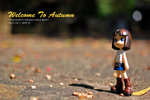 Autumn2007 DSC_0700_1024