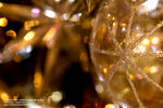 Xmas 071_800