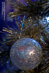 Xmas 074_680