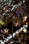 Xmas 083_800T