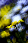 DSC_9875_680