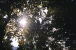 01280021