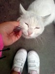 ??puic 2008-9-7 銝? 04-05-26