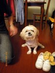 ??puic 2008-9-8 銝? 05-40-31
