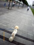 ??puic 2008-9-8 銝? 05-53-52