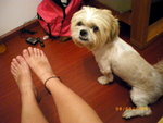 ??puic 2008-9-8 銝? 09-55-51
