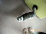 ??puic 2008-9-8 銝? 12-00-24