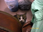 ??puic 2008-9-8 銝? 12-19-26