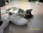 ??puic 2008-9-8 銝? 12-19-45