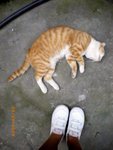 ??puic 2008-9-9 銝? 03-11-49