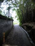 ??puic 2008-9-9 銝? 03-18-35