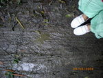??puic 2008-9-9 銝? 03-19-04