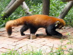??puic 2008-9-11 銝? 01-12-58