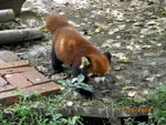 ??puic 2008-9-11 銝? 01-14-01