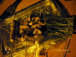 ??puic 2008-9-11 銝? 11-05-19
