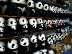 ??puic 2008-9-11 銝? 12-17-26