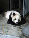 ??puic 2008-9-11 銝? 12-30-19