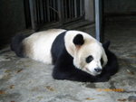 ??puic 2008-9-11 銝? 12-30-31