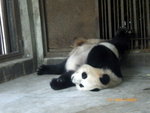 ??puic 2008-9-11 銝? 12-33-18