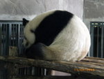 ??puic 2008-9-11 銝? 12-34-30