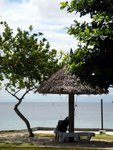 DSC00565