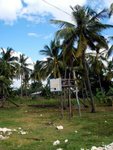 DSC00574