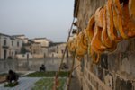 IMG_3194