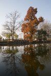 IMG_3216