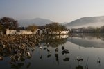IMG_3223
