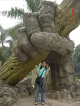 DSC04961