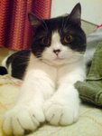 DSC01515