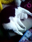DSC01825