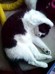 DSC01826