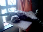 DSC01935